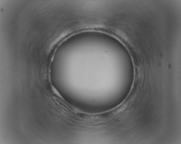 X0000067931165200604272001