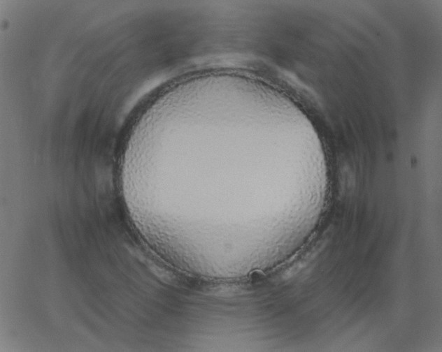 X0000067931166200604272001