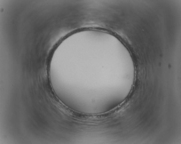 X0000067931167200604272001