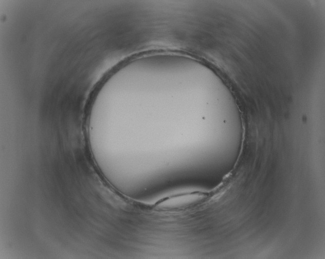 X0000067931168200604272001