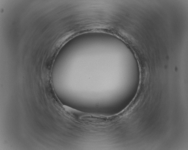 X0000067931169200604272001