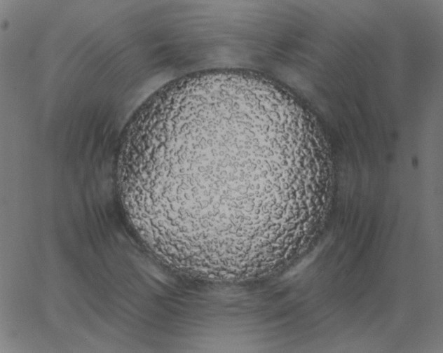 X0000067931170200604272001