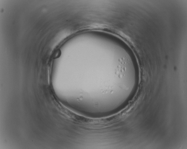 X0000067931171200604272001