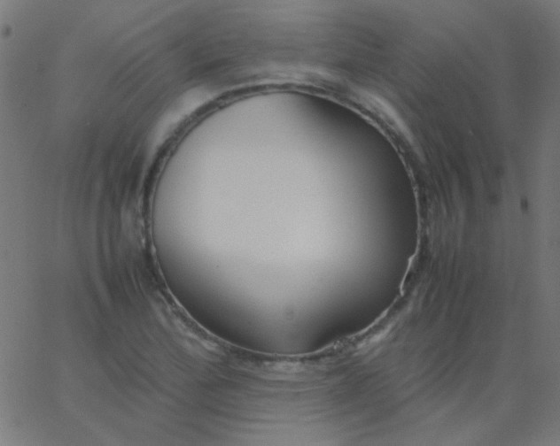 X0000067931172200604272001