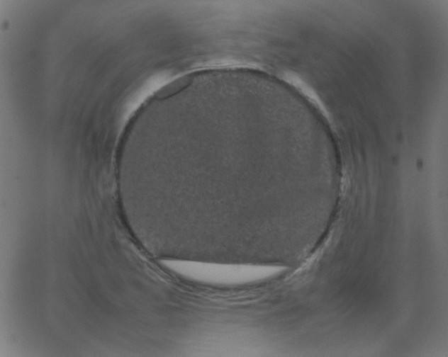 X0000067931173200604272001