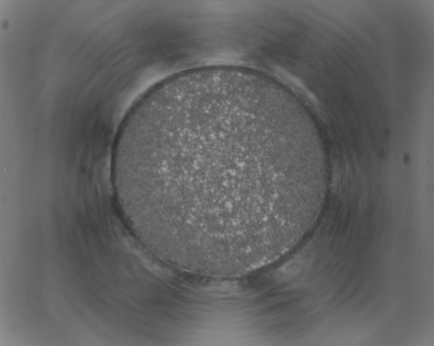 X0000067931174200604272001