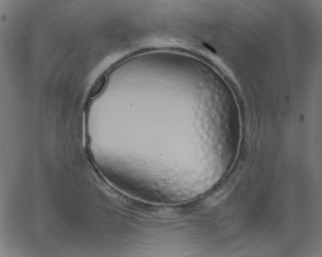 X0000067931175200604272001