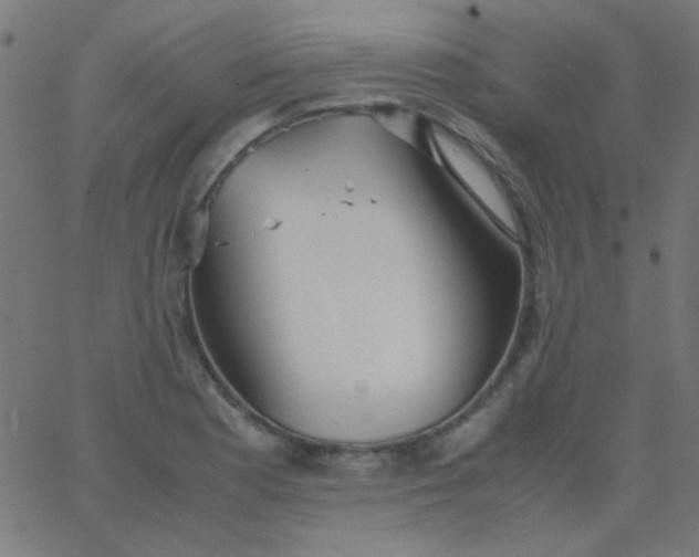 X0000067931177200604272001