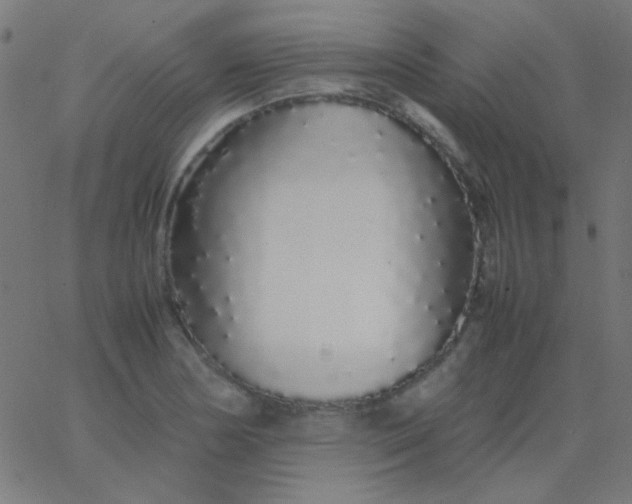 X0000067931178200604272001