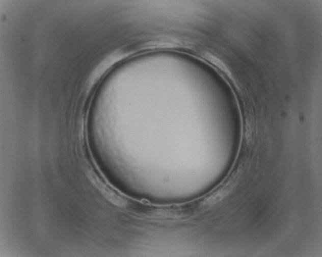 X0000067931179200604272001