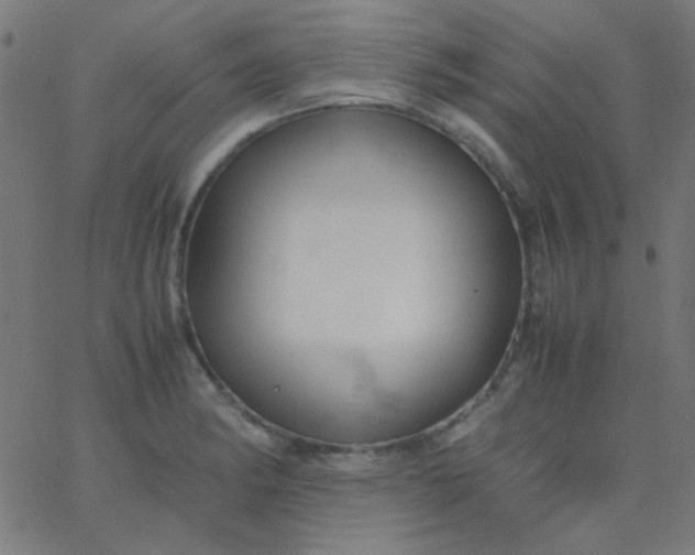 X0000067931182200604272001