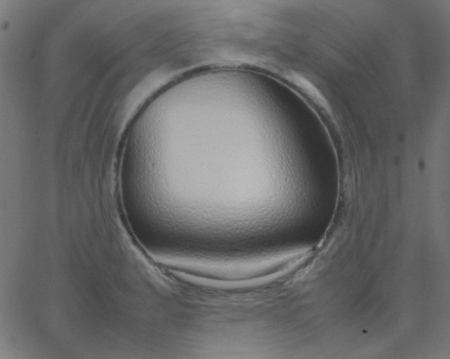 X0000067931183200604272001