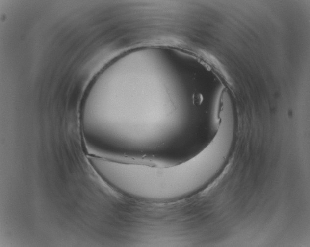 X0000067931184200604272001