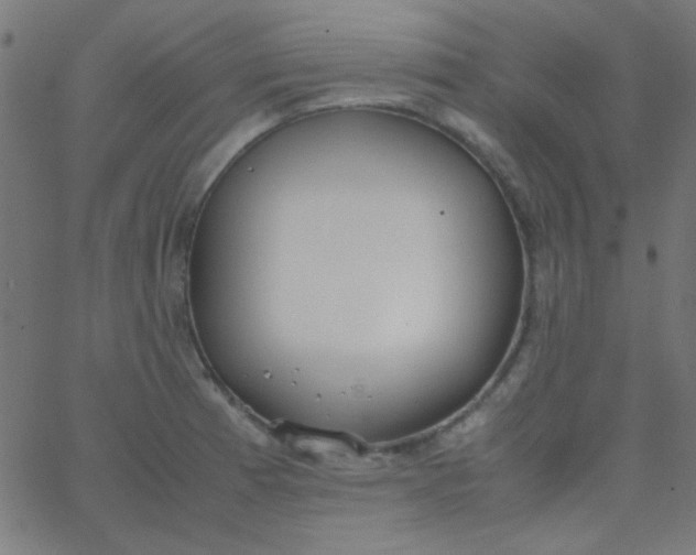 X0000067931185200604272001