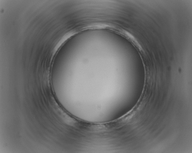 X0000067931186200604272001