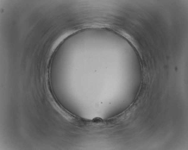 X0000067931187200604272001