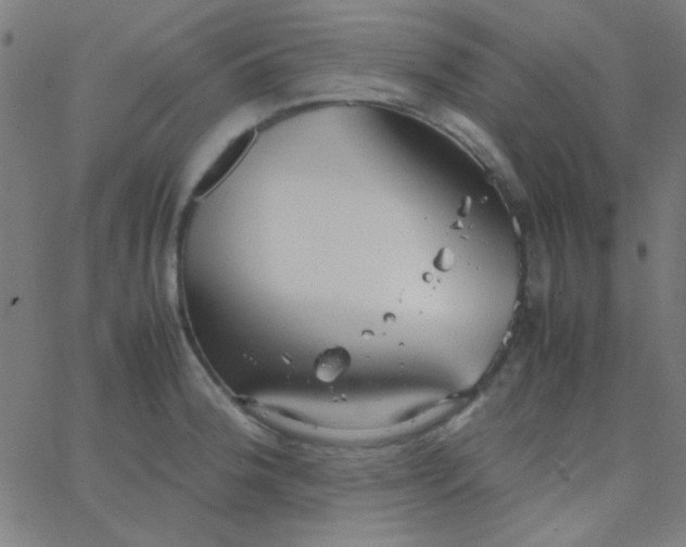 X0000067931188200604272001