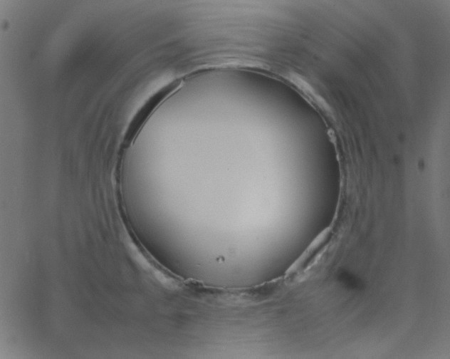 X0000067931189200604272001