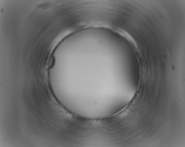 X0000067931190200604272001