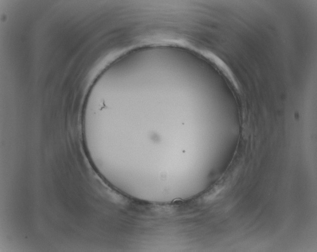 X0000067931191200604272001