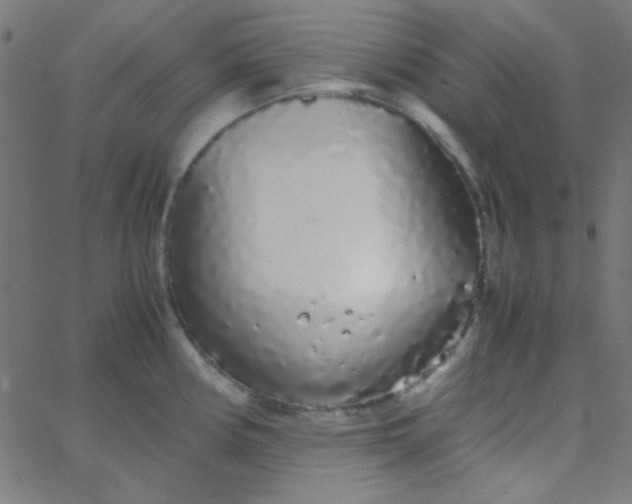 X0000067931194200604272001