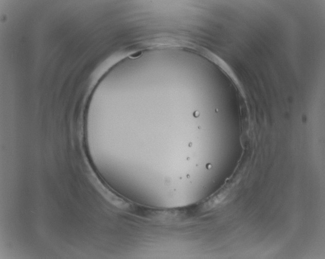 X0000067931195200604272001