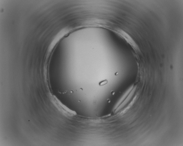 X0000067931196200604272001