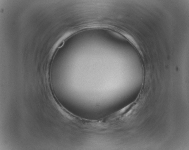 X0000067931197200604272001