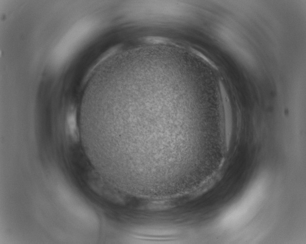 X0000067931198200604272001