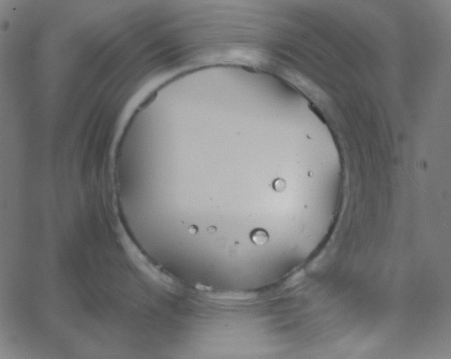 X0000067931200200604272001