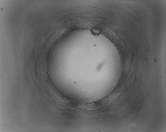 X0000067931201200604272000