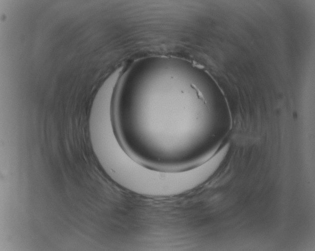 X0000067931202200604272000