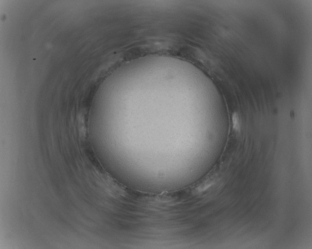 X0000067931203200604272000