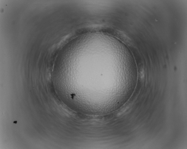 X0000067931204200604272000