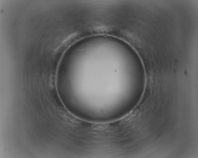 X0000067931205200604272000