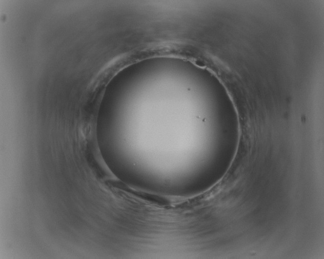 X0000067931206200604272000