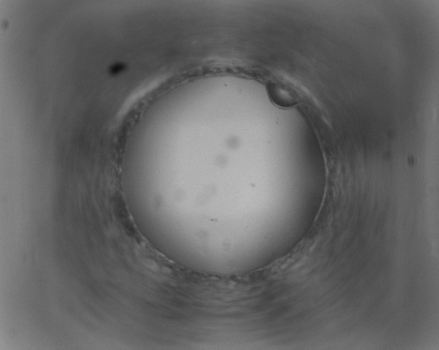 X0000067931207200604272000