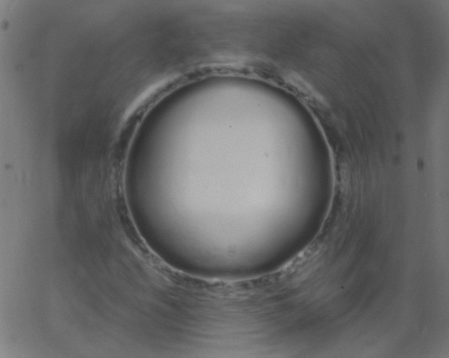 X0000067931208200604272000