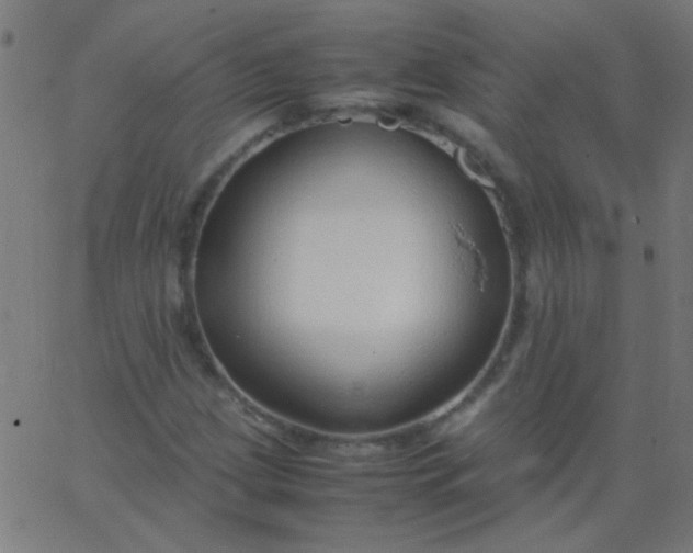 X0000067931209200604272000