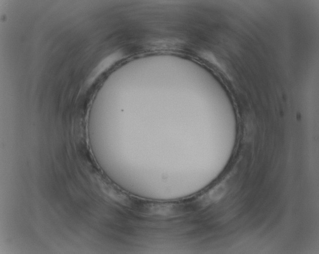 X0000067931211200604272000