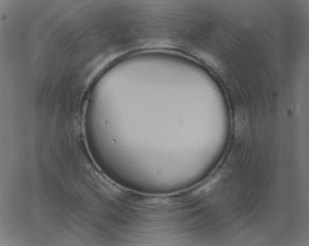 X0000067931212200604272000