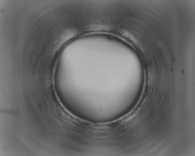 X0000067931213200604272000