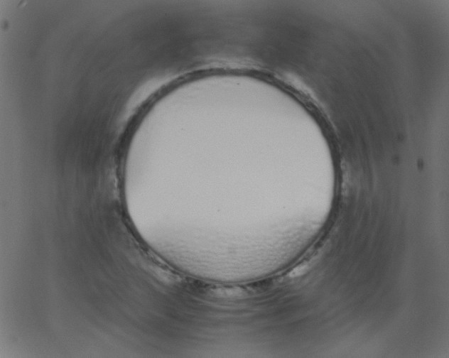 X0000067931215200604272000