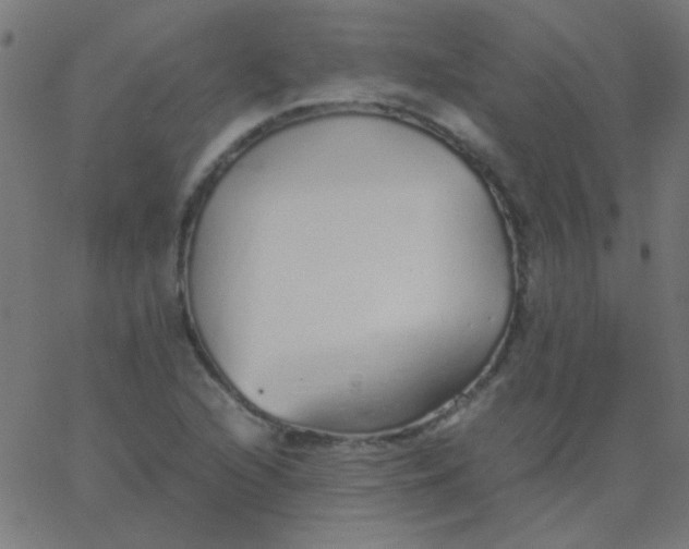 X0000067931216200604272000