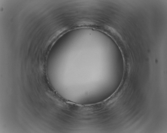 X0000067931217200604272000