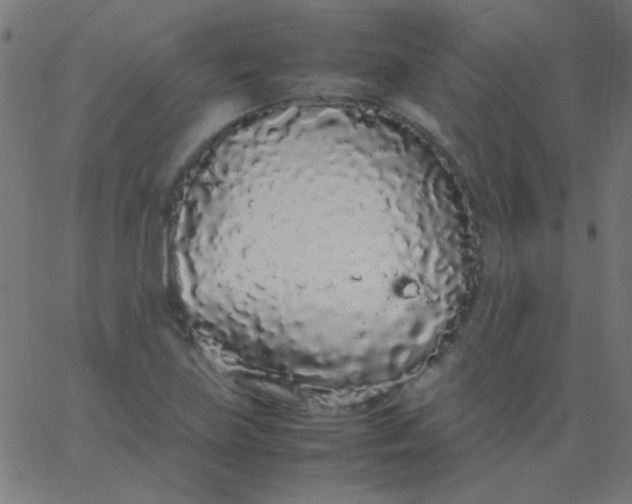 X0000067931219200604272000