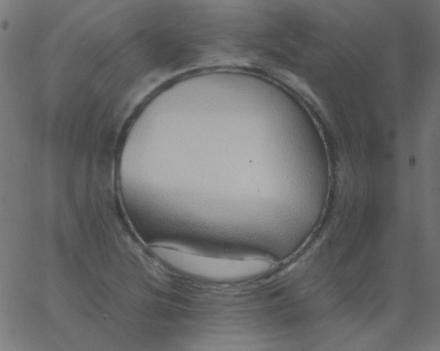 X0000067931220200604272000