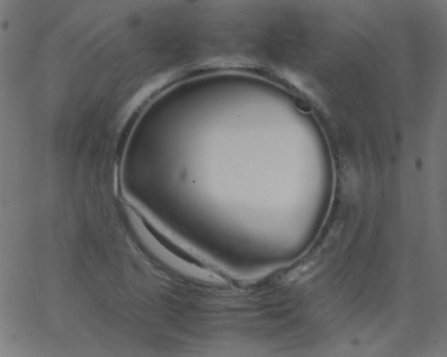 X0000067931221200604272000