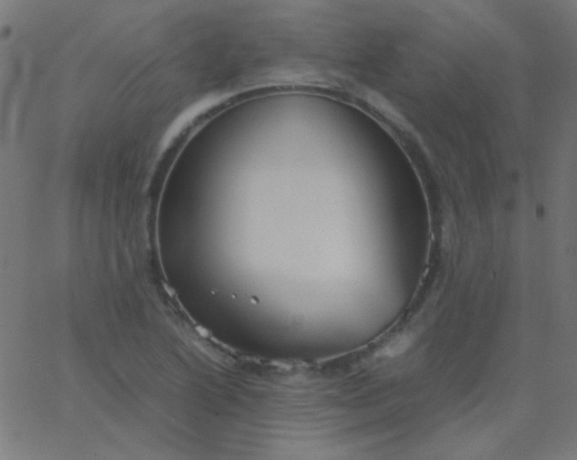 X0000067931222200604272000