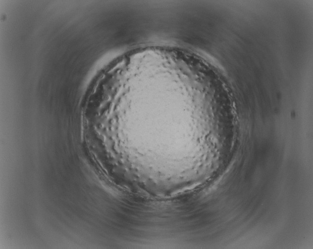 X0000067931223200604272000